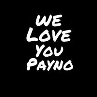 vas_happenin..turtle3