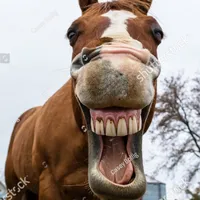 original sound - horseyhoofs