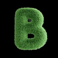 original sound - booqanaay