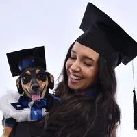 original sound - biagraia