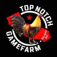 topnotchgamefarm831