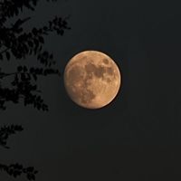 apaixonados_pela_luaa