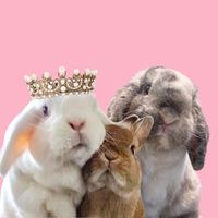 blancobun