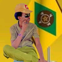 الصوت الأصلي