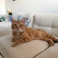 original sound - ericberman3