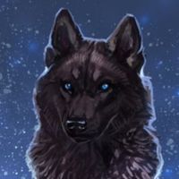 willowthewolf9