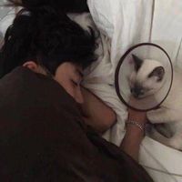 原聲