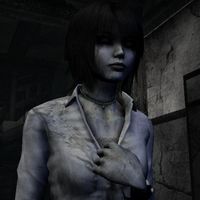 distorted.reflections