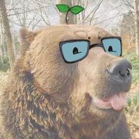 honeybearclaw