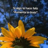 fabiolayapochoque