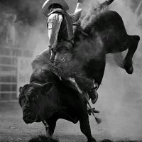 iker.hernandez798