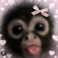 little.babys.world
