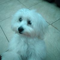 niky41727