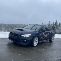 bluesubie17