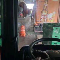 leocomandonasestradas