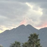 salvatoresbourbon1864