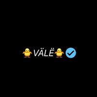 soy_vale_13