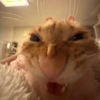 see_me_in_the_starsnmoon