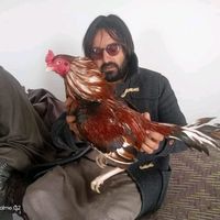 rahimkhan0777
