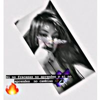 luz.aas