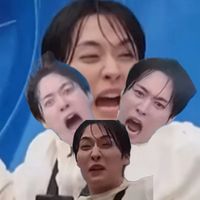 straykidsreaction1527