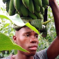 nyamitsindodramaactors