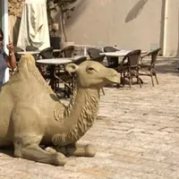 original sound - edu77891