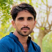 میری محبت کمال کی محبت