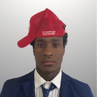 makeamericapartyagain