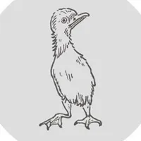 original sound - uglyducklingshropshire