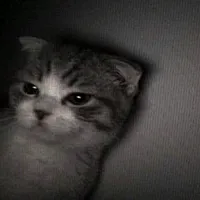 original sound - _only.noise