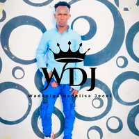 original sound - wadaniga_100