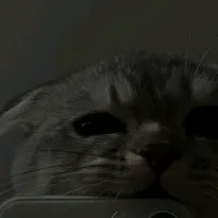 original sound - luiszzszszz