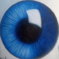 jola_13_