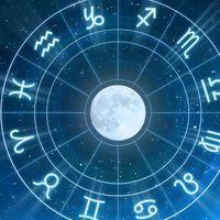 zodii_523