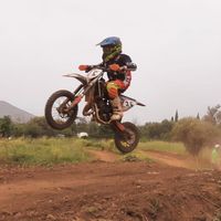 ale_monti65