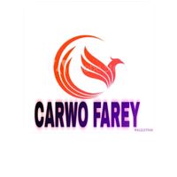 carwofareeyfashion1
