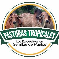 pasturastropicales