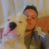 original sound - enzo198920