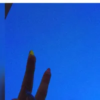 original sound - un_poco_de_todo00003