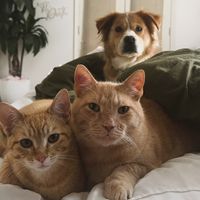 rayeradventuresofbean