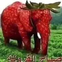 original sound - not._nic