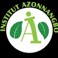 institutazonnangbo