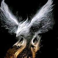 cesar.juarez42