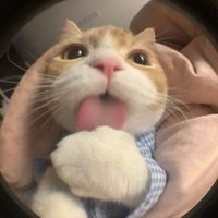 suara asli - kimmy🫶🏻