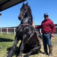 ericmartinezolivares