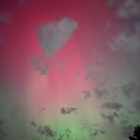 braydonwoods3