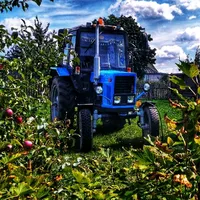 original sound - lexa_by5