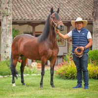 luismolina.oficial