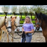 fvs.dressage